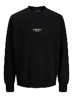 Resim Jack & Jones Jjesoho Sweat Crew Neck Noos Erkek Sweat 12278791
