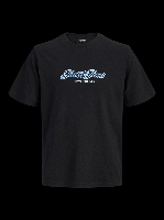 Resim Jack & Jones Jorcatskılls Tee Ss Cn Fst Erkek T-Shirt 12297893