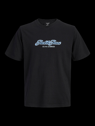 Resim Jack & Jones Jorcatskılls Tee Ss Cn Fst Erkek T-Shirt 12297893