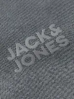 Resim Jack & Jones Jorlogo Sweat Crew Neck Tr Ss25 Erkek Sweat 12290659