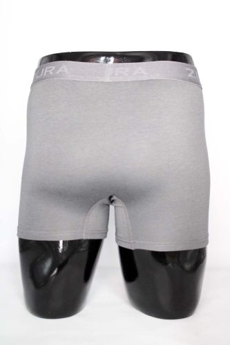 Resim Yenikoza Erkek Boxer