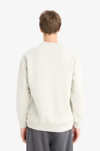 Resim Defacto  Erkek Sweat X8282AZ/BG672
