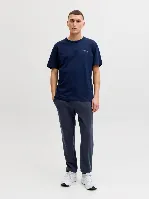 Resim Jack & Jones Jpstgordon Archıve Sweat Pants Noos Erkek Eşofman Alt 12288641