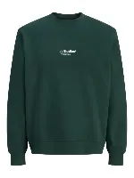 Resim Jack & Jones Jjesoho Sweat Crew Neck Noos Erkek Sweat 12278791
