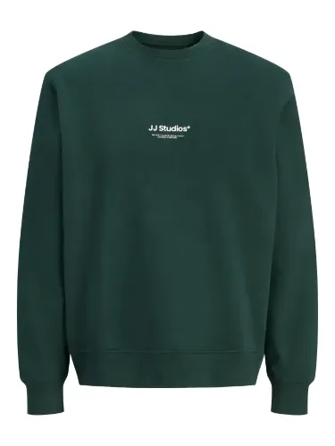 Resim Jack & Jones Jjesoho Sweat Crew Neck Noos Erkek Sweat 12278791