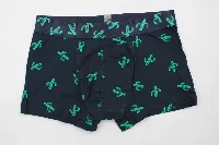 Resim Yenikoza Erkek Boxer