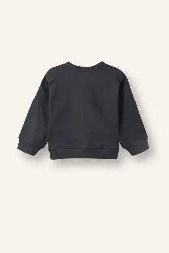 Resim Defacto  Erkek Bebek Sweat H8400A5/AR31