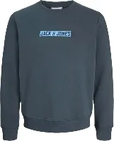 Resim Jack & Jones Jjmunk Sweat Crew Neck Sn Erkek Sweat 12298431