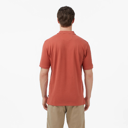 Resim NAUTİCA Erkek T-shirt