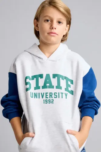 Resim Defacto  Erkek Çocuk Sweat I3178A8/GR400