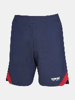 Resim Hummel Hmlvıvo Shorts  Erkek Şort 932484-7459