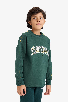 Resim Defacto Erkek Çocuk Sweat G6168A8/GN536