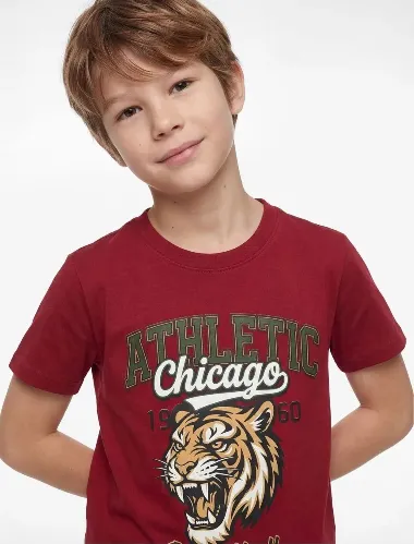 Resim Koton Erkek Çocuk T-Shirt 6Skb10545Tk