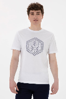Resim U.S. Polo Assn. Erkek T-Shirt 2107294 Gaston