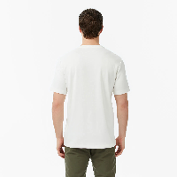 Resim NAUTİCA Erkek T-shirt
