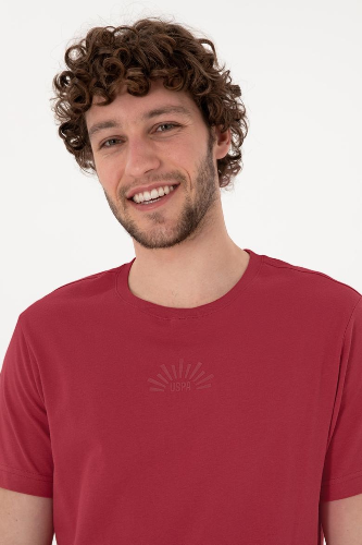 Resim 2107313 Lenhar Us Polo Assn Erkek T-Shirt