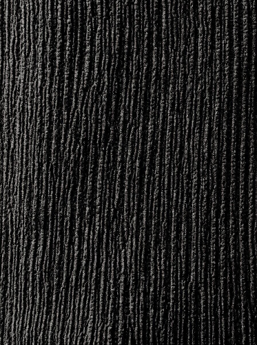 Resim Loft  Erkek T-Shirt Lf2042329