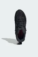 Resim Adidas TERREX ANYLANDER CLIMAWARM + Erkek Spor Ayakkabı JH6234