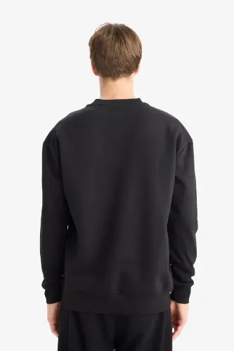 Resim Defacto  Erkek Sweat X8282AZ/BK81