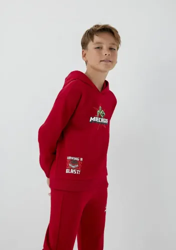Resim Mavi Erkek Çocuk Sweat M6S10188-80638