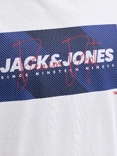 Resim Jack & Jones Jjcole Prınt Tee Ss Crew Neck Ln Erkek T-Shirt 12288492