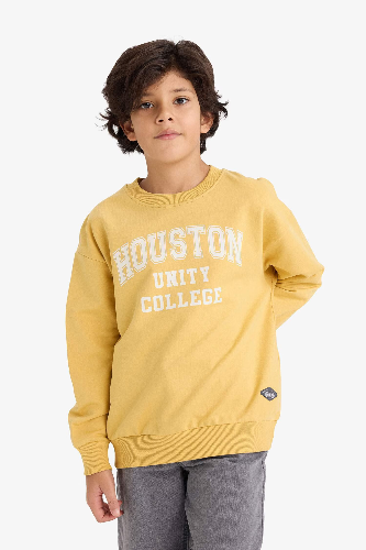 Resim Defacto Erkek Çocuk Sweat G6170A8/YL502