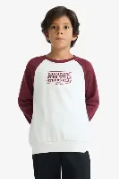 Resim Defacto Erkek Çocuk Sweat F2707A8/ER136