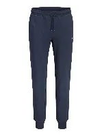 Resim Jack & Jones Jpstgordon Archıve Sweat Pants Noos Erkek Eşofman Alt 12288641