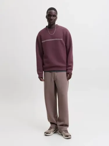 Resim Jack & Jones Jcofusıon Scuba Sweat Crew Neck Sn Erkek Sweat 12289830