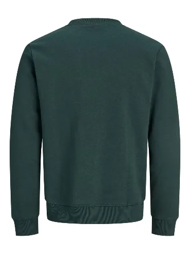 Resim Jack & Jones Jjaero Sweat Crew Neck Erkek Sweat 12298492