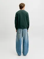 Resim Jack & Jones Jjesoho Sweat Crew Neck Noos Erkek Sweat 12278791