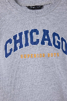 Resim Defacto Erkek Bebek Sweat G5908A5/GR396