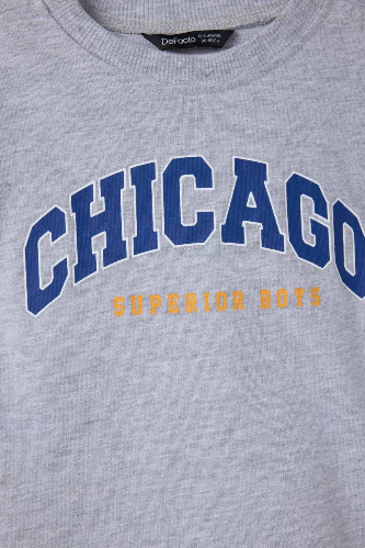 Resim Defacto Erkek Bebek Sweat G5908A5/GR396