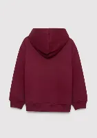 Resim Mavi Erkek Çocuk Sweat M6S10143-70394