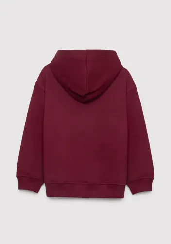 Resim Mavi Erkek Çocuk Sweat M6S10143-70394