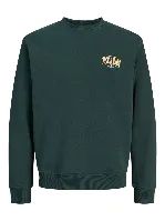 Resim Jack & Jones Jjaero Sweat Crew Neck Erkek Sweat 12298492