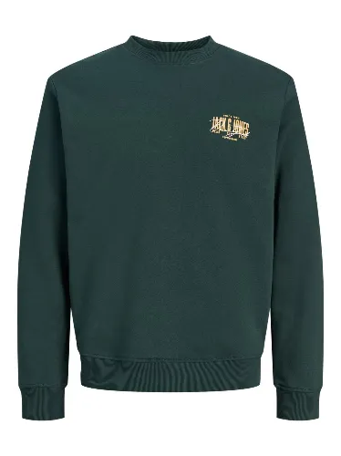 Resim Jack & Jones Jjaero Sweat Crew Neck Erkek Sweat 12298492