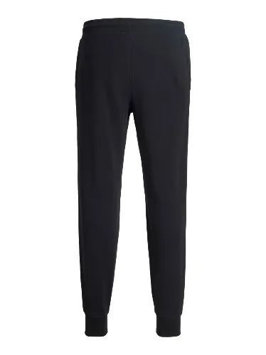 Resim Jack & Jones Jpstgordon Archıve Sweat Pants Noos Erkek Eşofman Alt 12288641