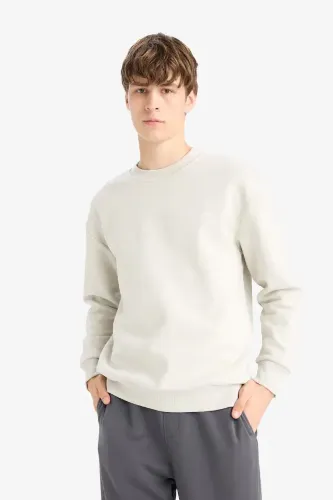 Resim Defacto  Erkek Sweat X8282AZ/BG672