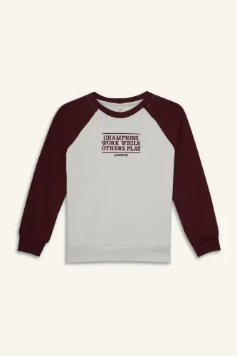 Resim Defacto Erkek Çocuk Sweat F2707A8/ER136