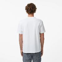 Resim NAUTİCA Erkek T-shirt