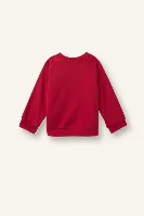 Resim Defacto  Erkek Bebek Sweat I3543A5/RD166