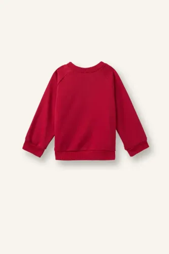 Resim Defacto  Erkek Bebek Sweat I3543A5/RD166
