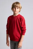 Resim Defacto  Erkek Çocuk Sweat I1419A8/BR244