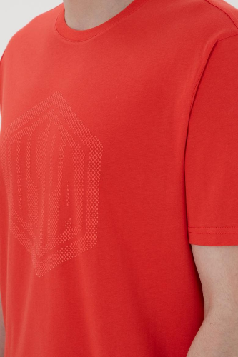 Resim U.S. Polo Assn. Erkek T-Shirt 2107294 Gaston