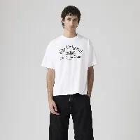 Resim Levis Erkek T-shirt