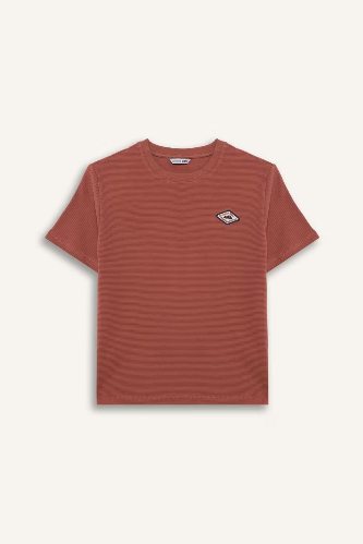 Resim Defacto Erkek Çocuk T-shirt G6988A8/BR96