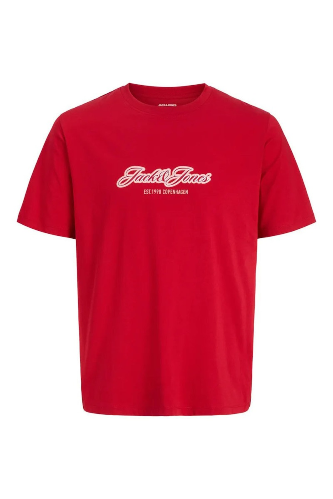 Resim Jack & Jones Jorcatskılls Tee Ss Cn Fst Erkek T-Shirt 12297893