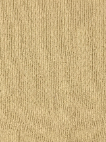 Resim Loft  Erkek T-Shirt Lf2042275