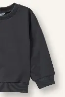 Resim Defacto  Erkek Bebek Sweat H8400A5/AR31